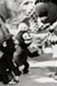 Chibikuro Sambo no Tora Taiji