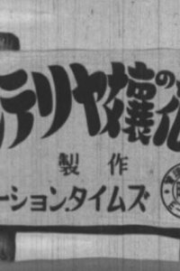 Cinterrier-jou no Hanamuko