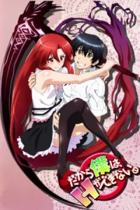 Dakara Boku wa, H ga Dekinai.