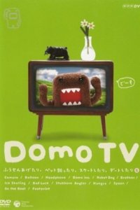 Domo TV