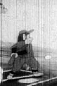 Doubutsu Dai Yakyuu Sen