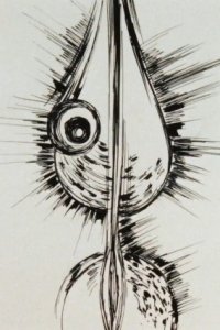 Gavora