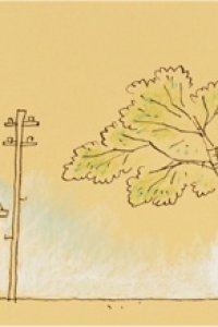 Hakimono to Kasa no Monogatari