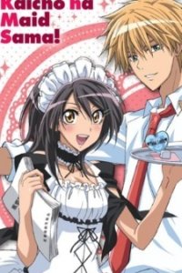 Kaichou wa Maid-sama!: Goshujinsama to Asonjao♥
