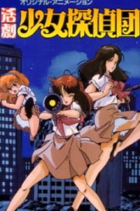 Katsugeki Shoujo Tanteidan