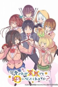 Kawaikereba Hentai demo Suki ni Natte Kuremasu ka?