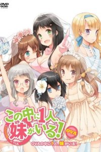 Kono Naka ni Hitori, Imouto ga Iru!: Ani, Imouto, Koibito