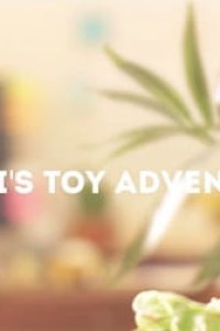 Luigi's Toy Adventure