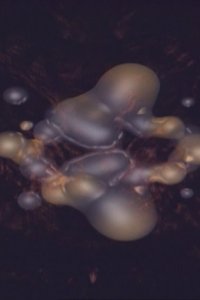 More Than a Feeling (Black Dog Mix #2)