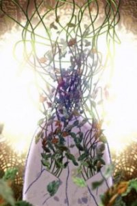 Moshi mo Inochi ga Egaketara