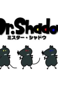 Mr. Shadow