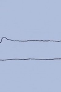 Nani ga Dekiru ka na