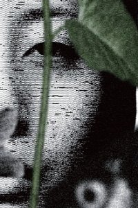 Nisou no Kuzu