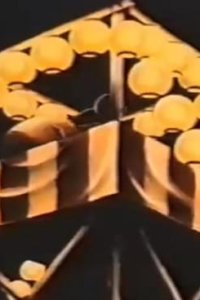 Nouryou Anime: Denkyuu Ika Matsuri