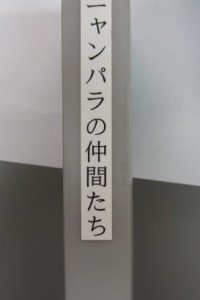 Nyanpara no Nakama-tachi