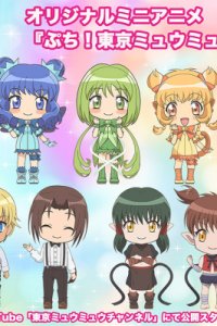 Petit! Tokyo Mew Mew New ♡