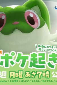 Poke Oki