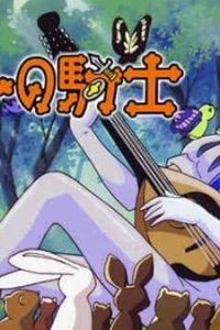 Ribbon no Kishi (1999)