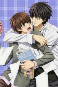 Sekaiichi Hatsukoi: Valentine-hen