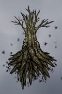 Shiori feat. Shing02