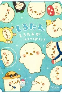 Shirotan: Shirotan ga Ippai!