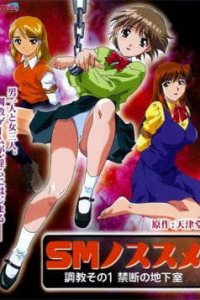 SM no Susume