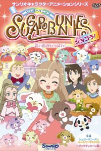 Sugar Bunnies Chocolate! Specials