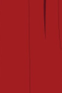 Tantei wa Mou, Shindeiru. Mini Anime