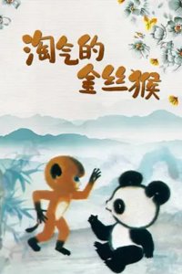 Tao Qi De Jin Si Hou