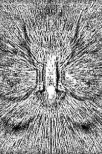 Technology Shamanism