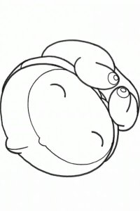 The Embryo Develops into a Fetus