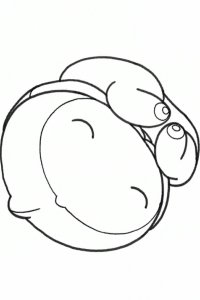 The Embryo Develops into a Fetus