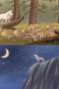 Tsuki no Mine no Ookami