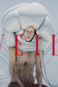 Veil
