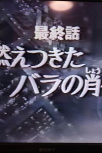 Versailles no Bara: Moetsukita Bara no Shouzou