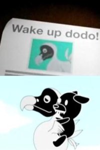 Wake Up! Dodo