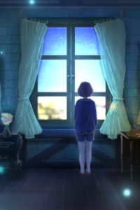 Winter Wonder Wander