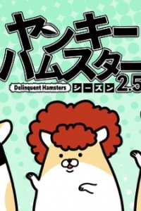 Yankee Hamster Season 2.5
