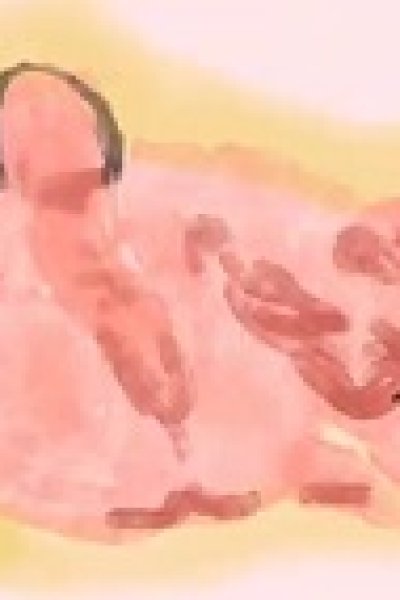 Akuru Hi no Aru ka Nai Ashi