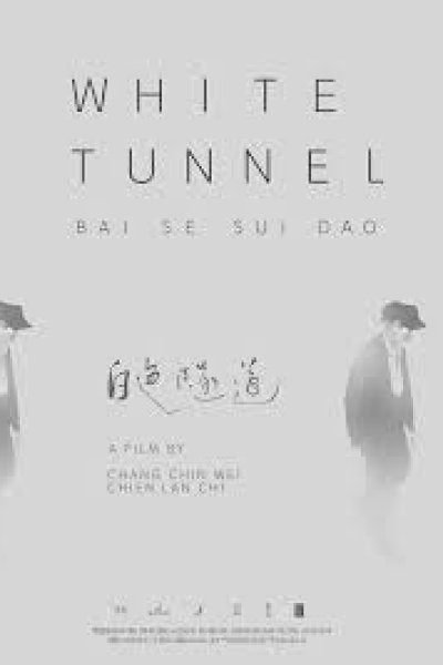 Baise Suidao
