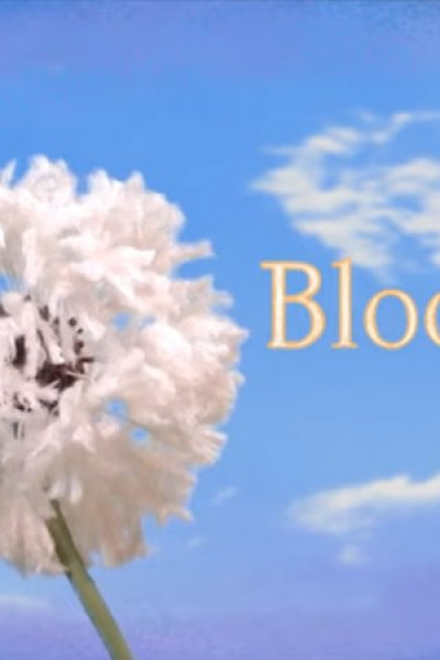 Bloom