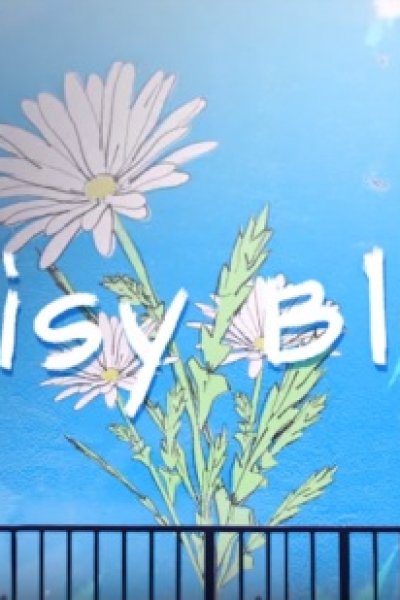 Daisy Blue