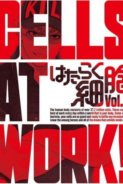 Hataraku Saibou Specials