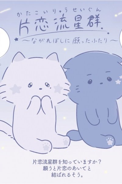 Katakoi Meteor Shower