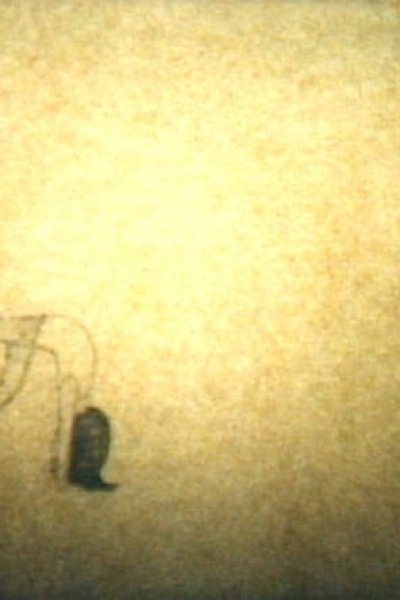 Kodomo no Kaitei no Koto