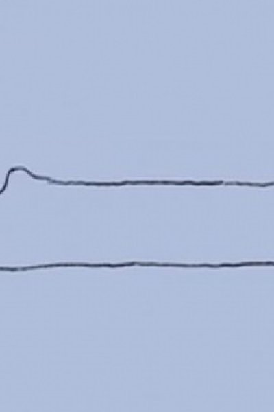 Nani ga Dekiru ka na