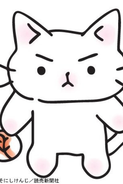 Neko Pitcher