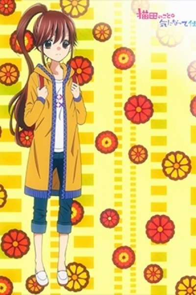 Nekota no Koto ga Kininatte Shikatanai. (ONA)