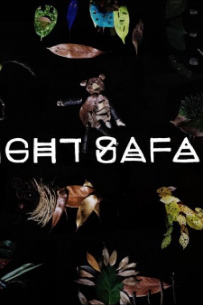 Night Safari