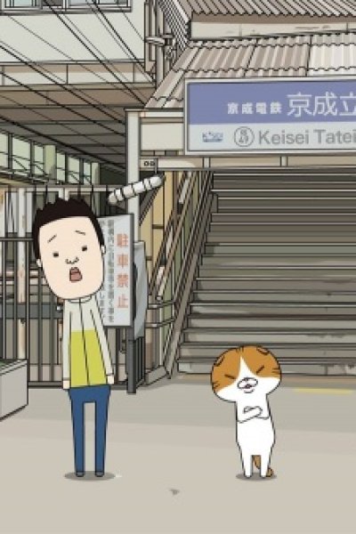 Norasco: The Stray Scottish Fold